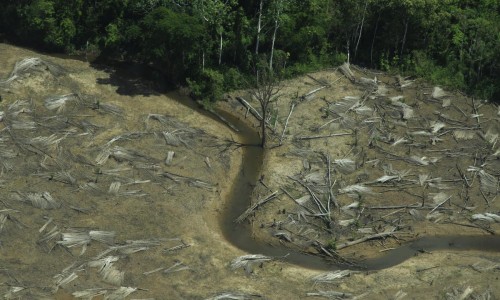 O fim da Amazônia
